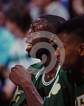 Ed Pinckney, Boston Celtics