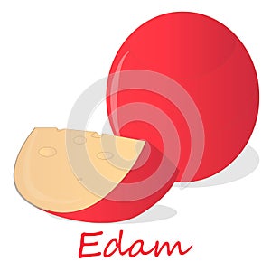 Edam cheese food collection illustration set