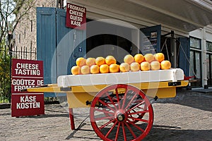 Edam cheese in a store