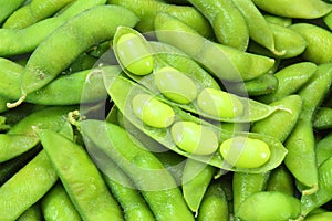 Edamame nibbles, boiled green soy beans, japanese