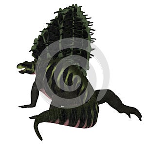 Edaphosaurus Dinosaur Tail