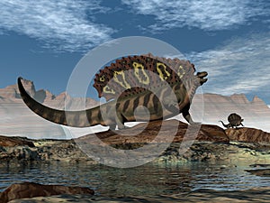 Edaphosaurus prehistoric animal walking on a rock - 3D render