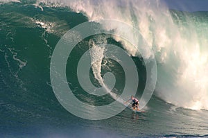 Eddie Aikau Big Wave Surfing Contest