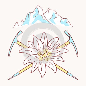 Edelweiss alpenstock mountains flower symbol alpinism alps germany logo photo