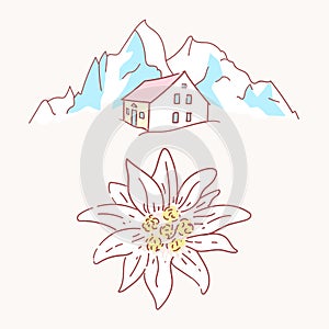 Edelweiss chalet hut cabin mountains symbol alpinism alps germany logo photo