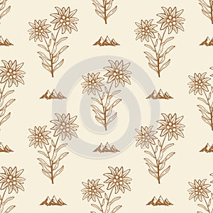 Edelweiss flower alpine icon seamless background tile pattern