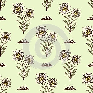 Edelweiss flower alpine icon seamless background tile pattern