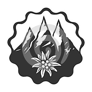 Edelweiss flower icon vector alpine icon flat web sign symbol logo label