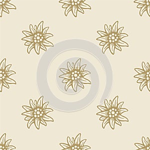 Edelweiss flower seamless pattern background texture