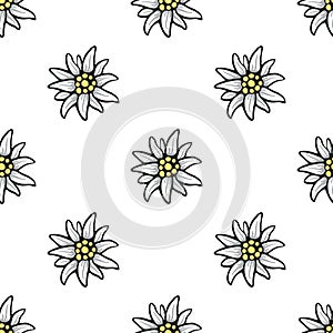 Edelweiss flower seamless pattern background texture