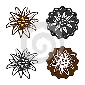 Edelweiss flower symbol alpinism alps germany logo