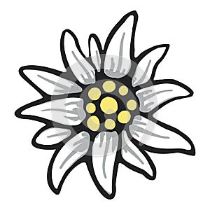 Edelweiss flower symbol alpinism alps germany logo