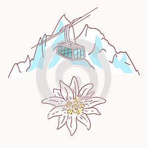 Edelweiss mountains gondola flower symbol alpinism alps germany logo set