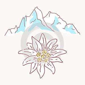 Edelweiss mountains mountaineering flower symbol alpinism alps germany logo