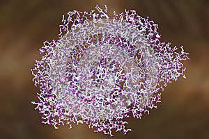 Edema toxin of anthrax bacterium