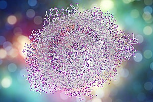 Edema toxin of anthrax bacterium