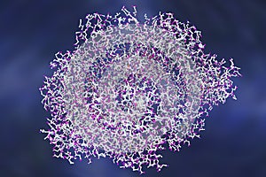 Edema toxin of anthrax bacterium