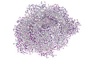Edema toxin of anthrax bacterium