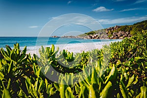 Eden Picturesque Grand Anse, La Digue island, Seychelles. Lush green vegetation frame white sand paradise beach with