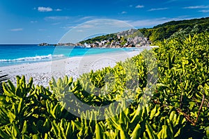 Eden Picturesque Grand Anse, La Digue island, Seychelles. Lush green vegetation frame white sand paradise beach with photo
