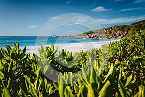 Eden Picturesque Grand Anse, La Digue island, Seychelles. Lush green vegetation frame white sand paradise beach with photo
