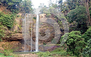 The Eden place on Boloven plateau (Laos)