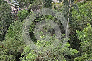 The Eden Project Biodome