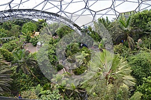 The Eden Project Biodome