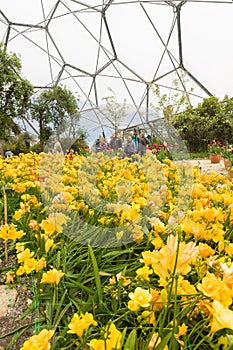 Eden Project Cornwall