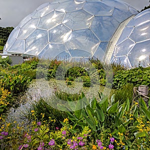 Eden project