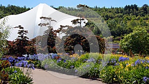 Eden Project garden in St. Austell Cornwall