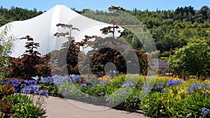 Eden Project garden in St. Austell Cornwall photo