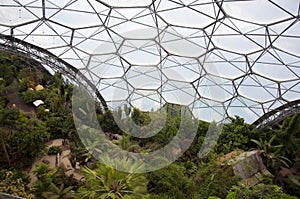 Eden project inside the biome photo