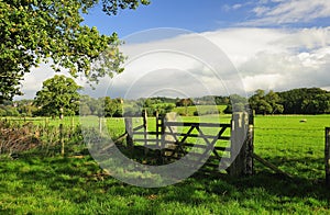 The Eden valley fields, Cumbria photo