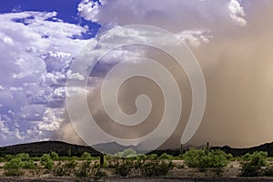 Edge of Arizona Haboob Sandstorm