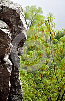 The Edge of A Bluff at Devils Lake State Forest