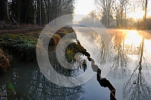 At the edge of canal an autumn morning