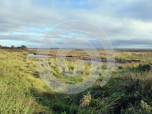 Edge of the Humber estuary