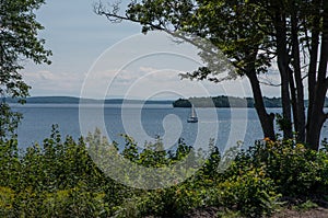 The edge of Lake Champlain with trees