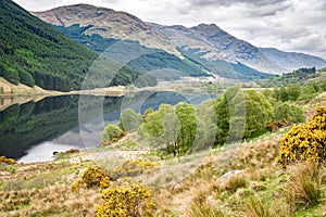 The Edge of Loch Doine