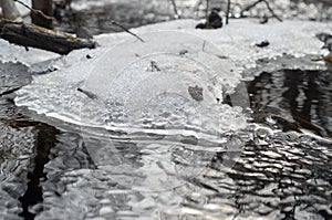 Edge of melting ice by the stream.