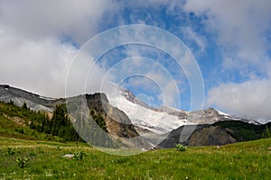 Edge of Mount Rainier Emerges from Cloud Behind Grassy Field