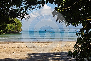 Edge of the Pangandaran nature reserve forest area photo