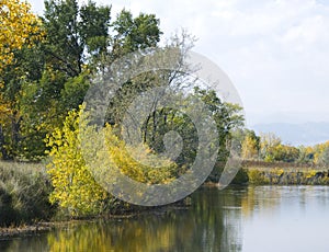 Edge of Pond in Autumn