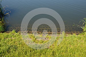 The edge of the pond or reservoir is reinforced with concrete paving. the grassy shore goes into the clear water slowly, but the i