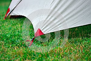 Edge touristic tent tighten with ropes on the green grass