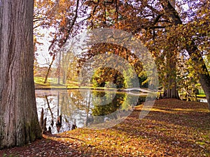 On the edge of the tree-lined lake, in autumn brights colors