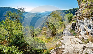 Edge of Vikos gorge. Zagoria, Epirus, Greece