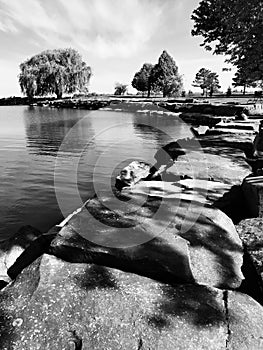 Huge rocks on the shores of Lake Erie next to Cleveland`s Favorite Tree - OHIO - USA