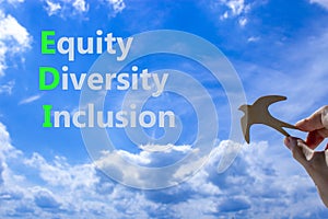 EDI equity diversity inclusion symbol. Concept words EDI equity diversity inclusion on blue sky clouds background. Wooden bird.